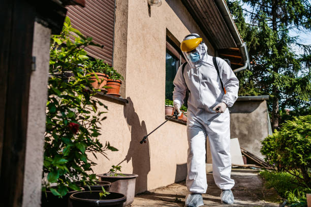 Best Rodent Control Near Me  in Bylas, AZ
