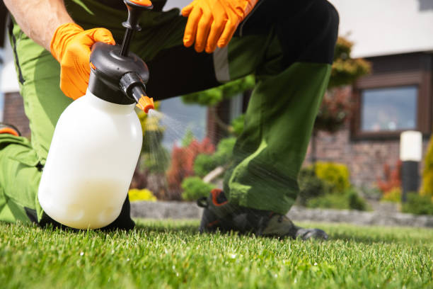 Best Cockroach Control Services  in Bylas, AZ